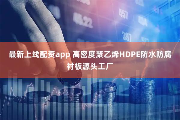 最新上线配资app 高密度聚乙烯HDPE防水防腐衬板源头工厂