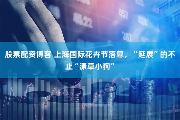 股票配资博客 上海国际花卉节落幕,“延展”的不止“潦草小狗”