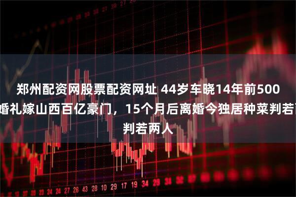 郑州配资网股票配资网址 44岁车晓14年前5000万婚礼嫁山西百亿豪门，15个月后离婚今独居种菜判若两人
